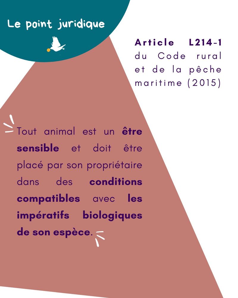Publication : l’article L214-1 du Code rural