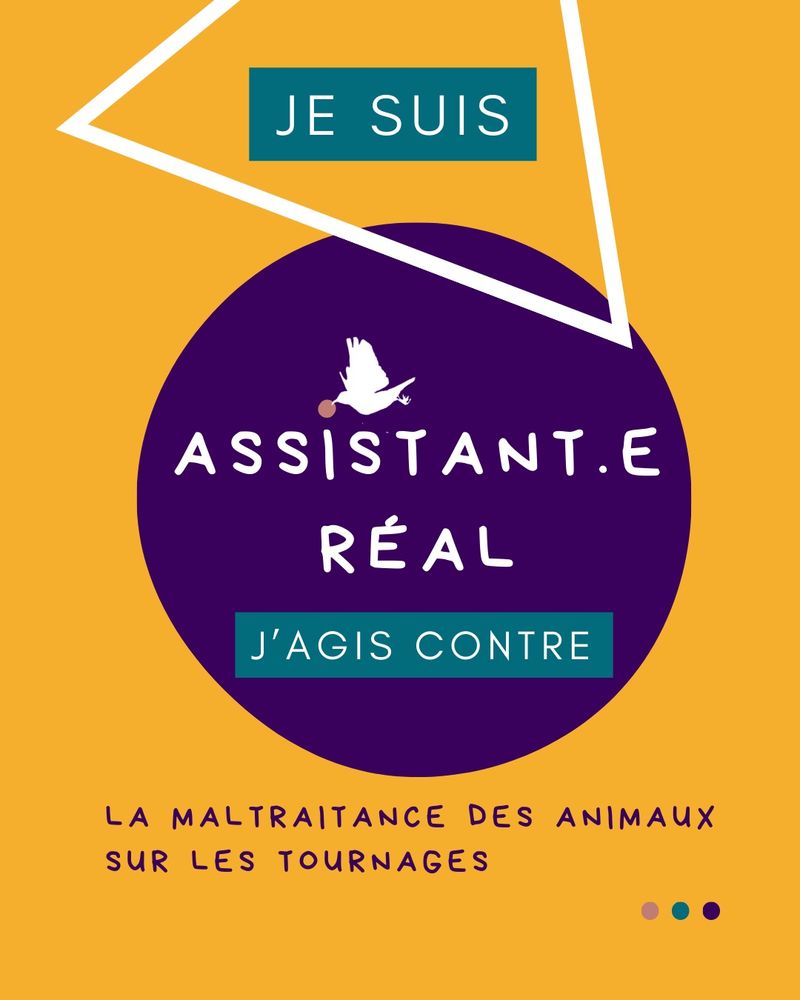 Publication : le rôle de l’assistant réalisateur