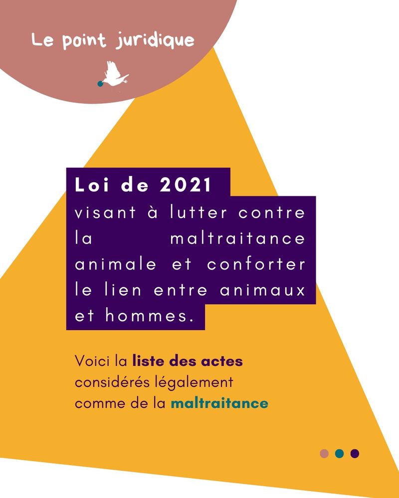 Publication : la loi du 30 novembre 2021