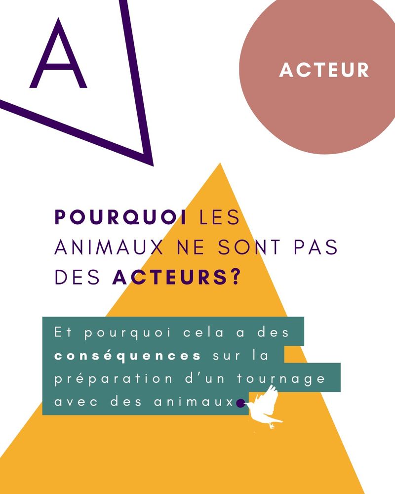 Publication : un animal n’est pas un acteur