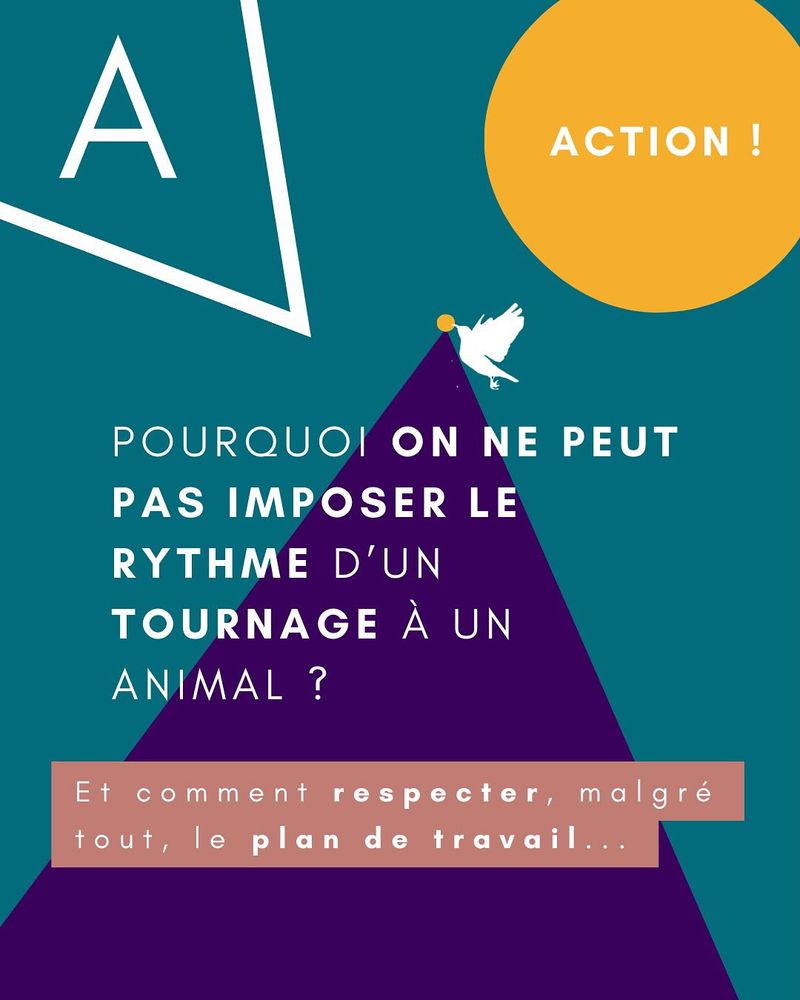 Publication : respecter le rythme de l’animal