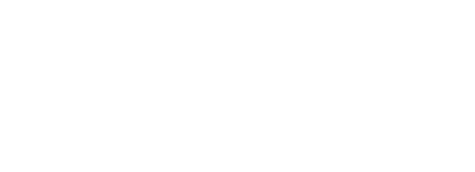 Nandos logo