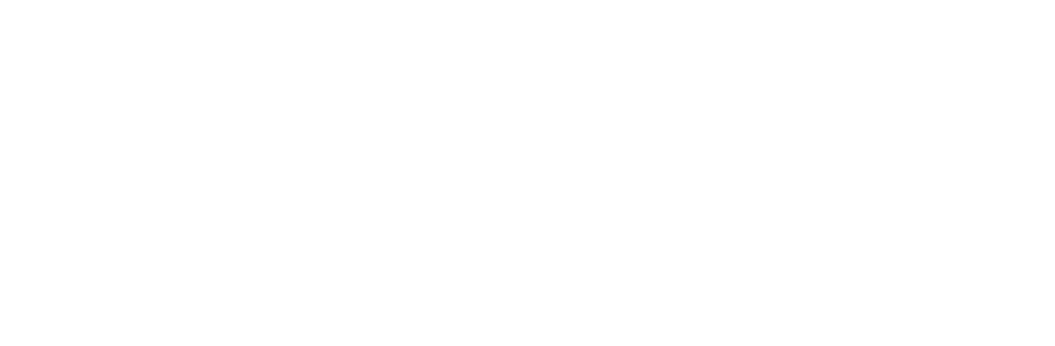 Ster Kinekor logo