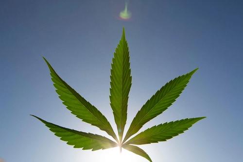 marijuana leaf in sky