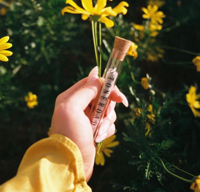8 Eco-Friendly Cannabis Brands to Support for Earth Day