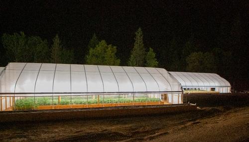 marijuana greenhouse