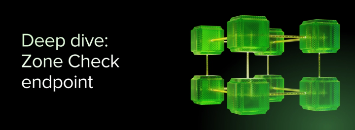 Deep dive: Zone Check endpoint