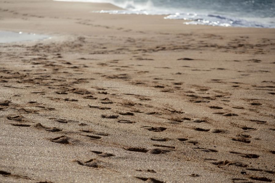 Scattered footprints in the sand with a low wave in the background.