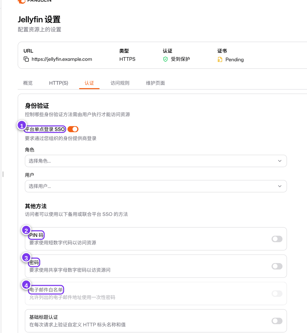 认证设置：SSO、PIN 码、密码、邮箱白名单