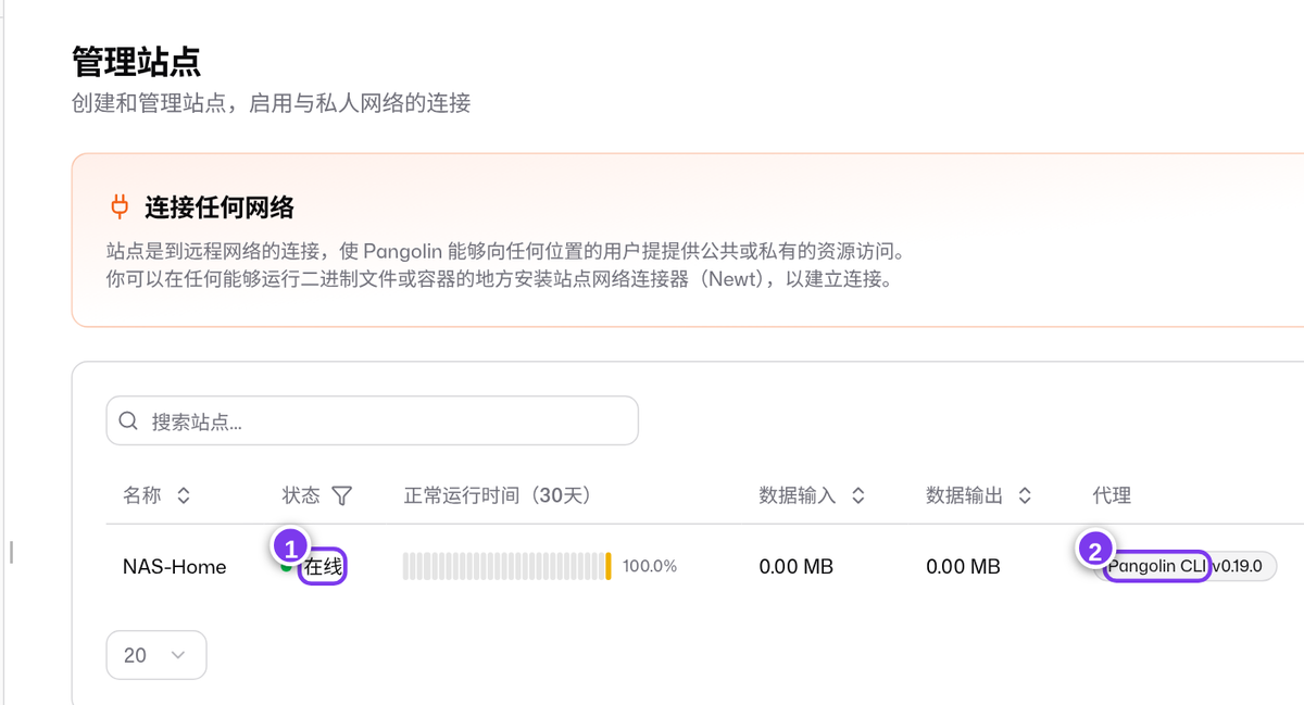 站点在线，代理显示 Pangolin CLI