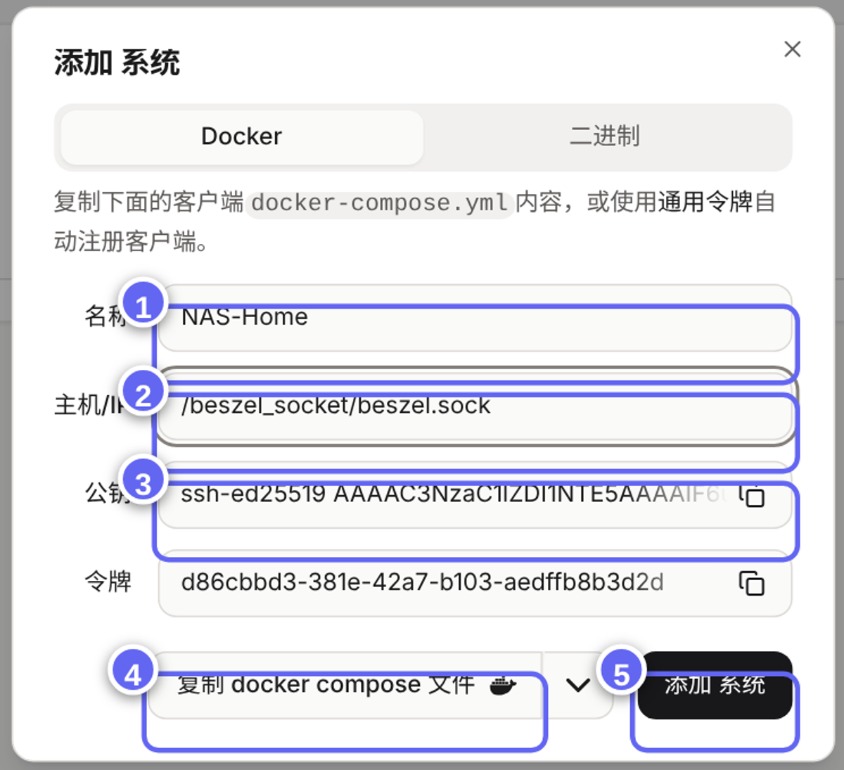 添加系统：名称、套接字路径、公钥和令牌