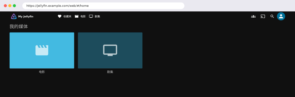 通过隧道打开的 Jellyfin