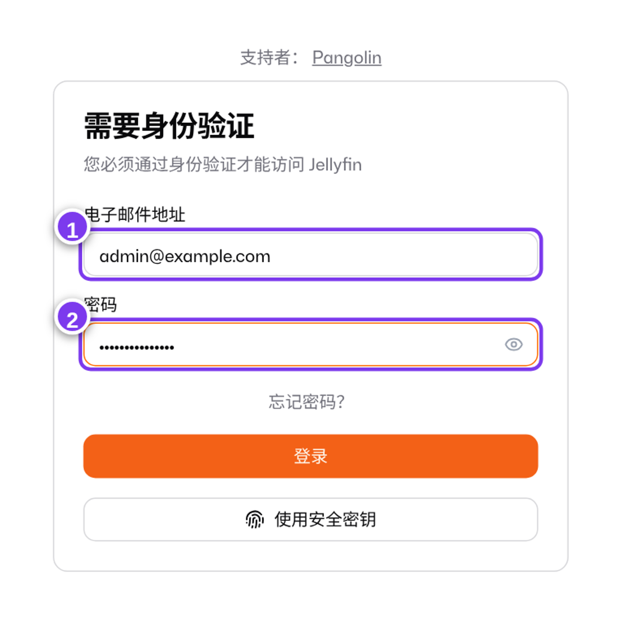 访问 jellyfin.example.com 先要登录