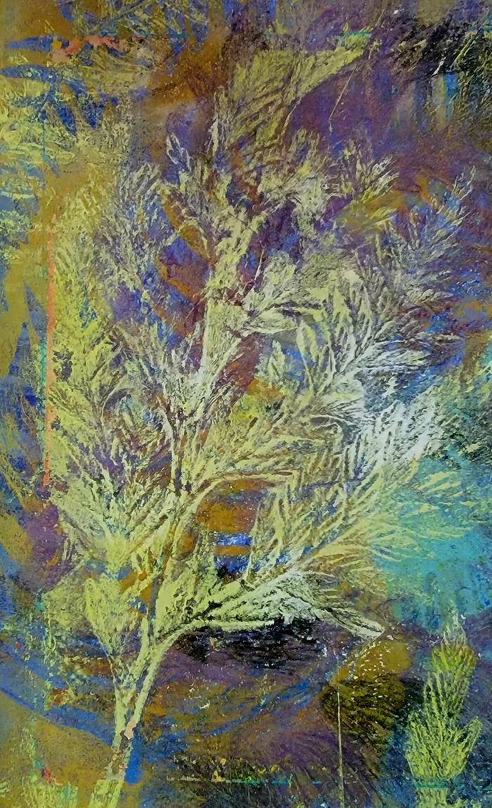 Image of botanical gel print in various colors