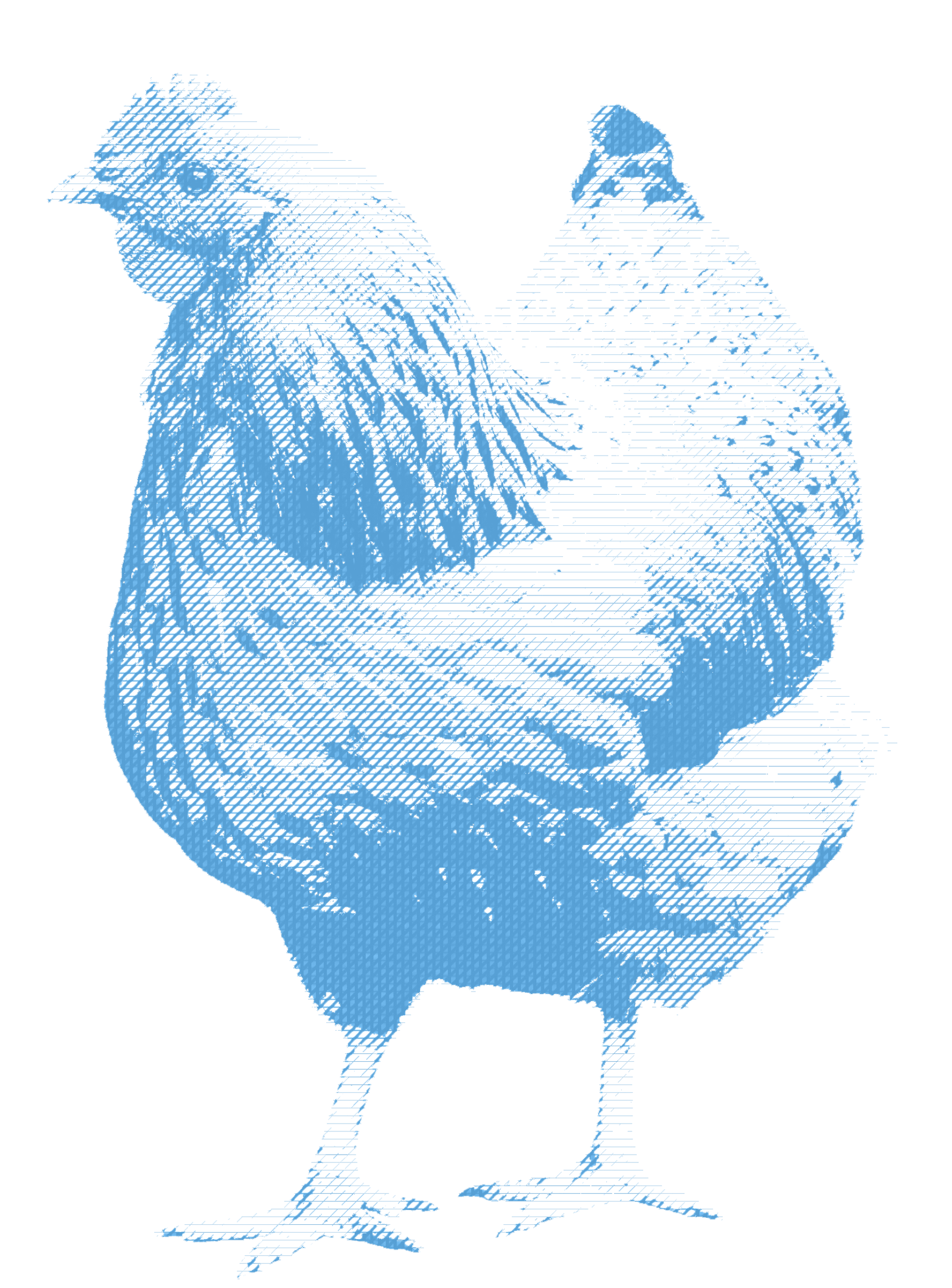 Blue chicken bitmap