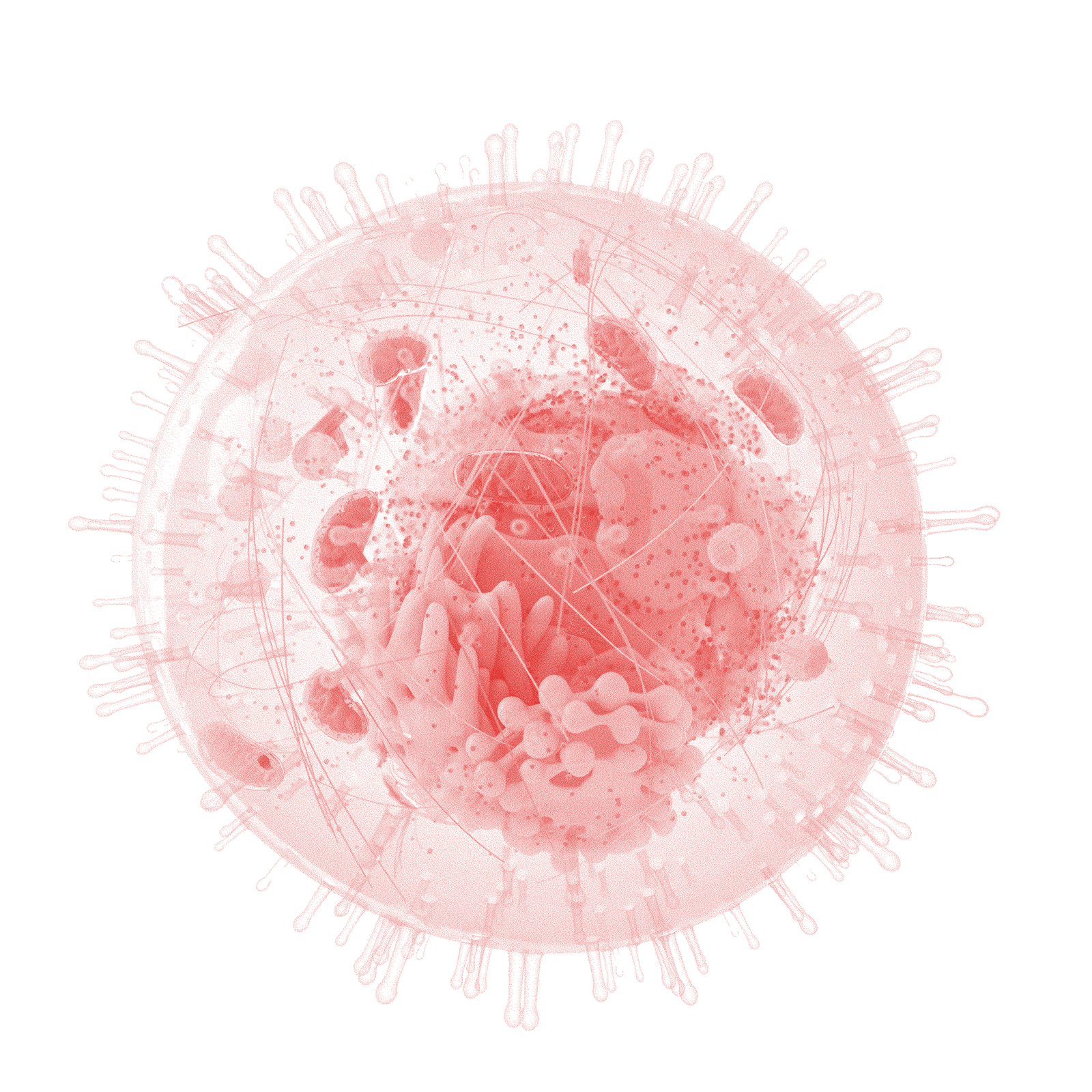 Red Cell