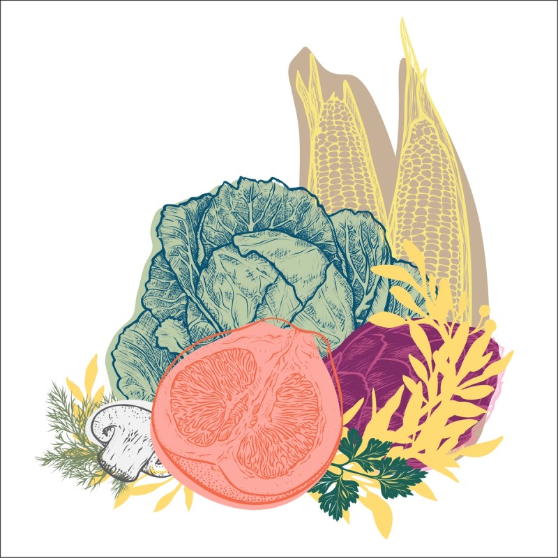 Illustration of fruit and vegetables groupings in bright colors