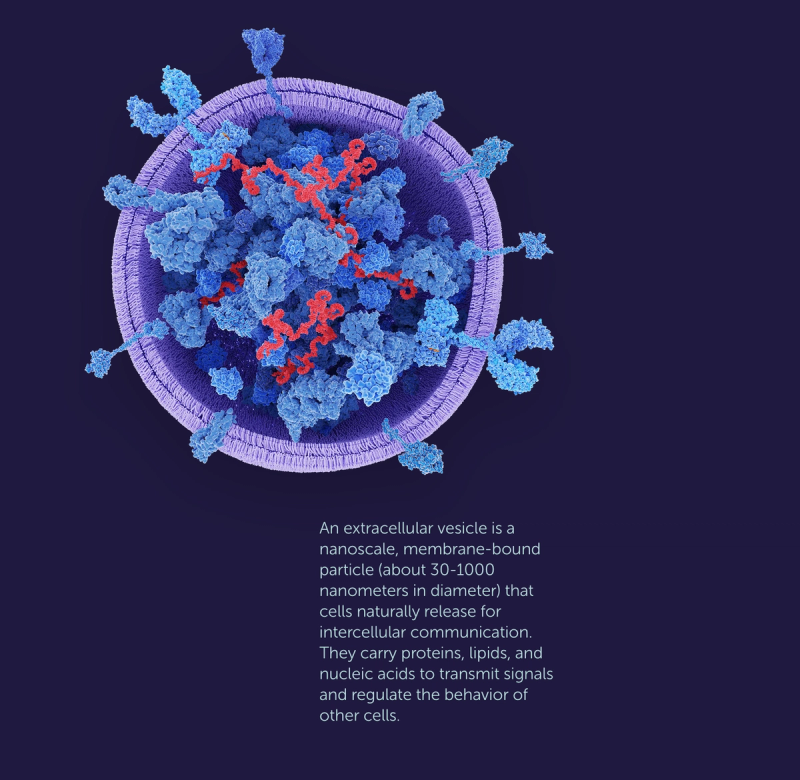 Exosome diagram and description text on purple background