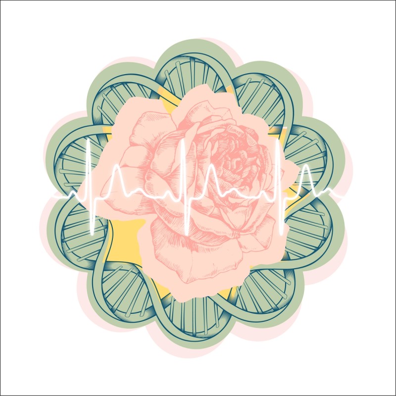 Illustration of rose with pulse line through the middle surrounded by DNA helix