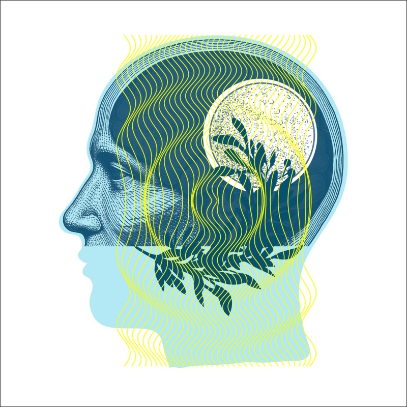 Illustration of man with moon and plants as thoughts in his cranium and yellow wavy lines over the whole image