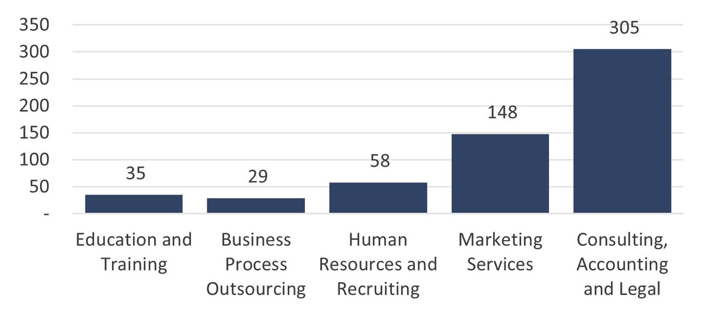 Bar chart displaying the number of transactions by segment: Education and Training (35), Business Process Outsourcing (29), Human Resources and Recruiting (58), Marketing Services (148), and Consulting, Accounting and Legal (305), with Consulting, Accounting and Legal showing the highest volume.