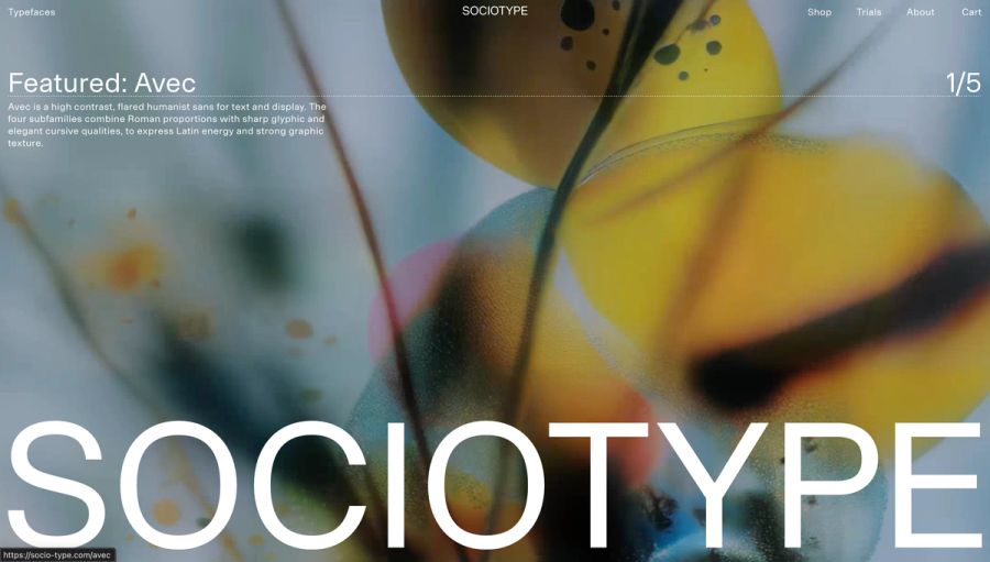 Sociotype