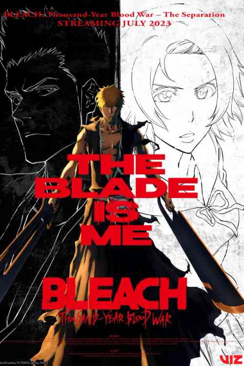 Bleach: Thousand-Year Blood War Season 1 | Ranime
