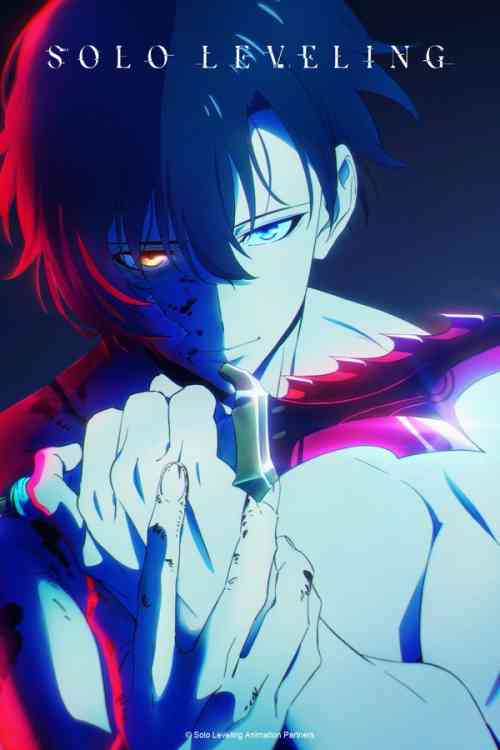 Solo Leveling Season 1 anime image | Ranime