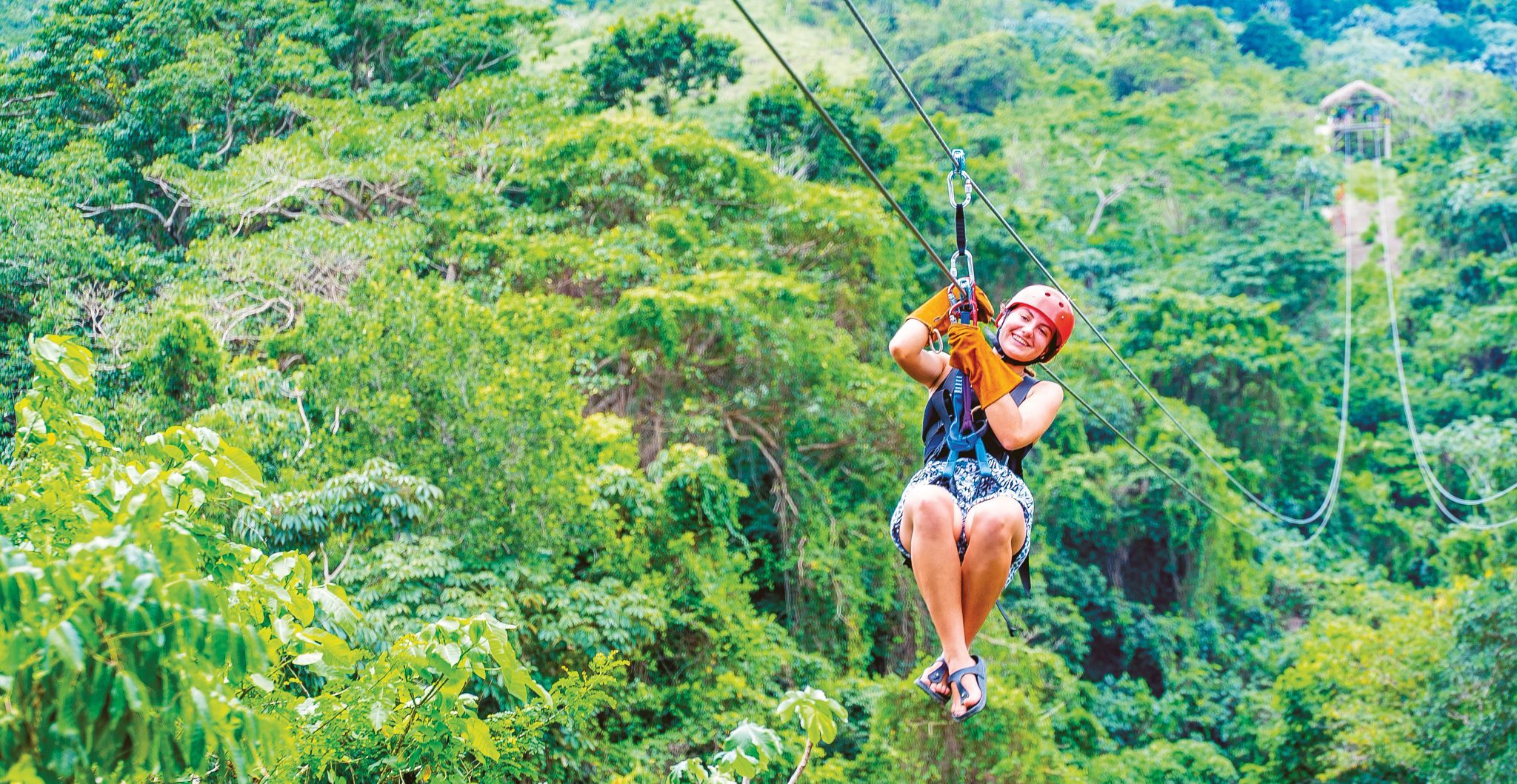 Zip Line