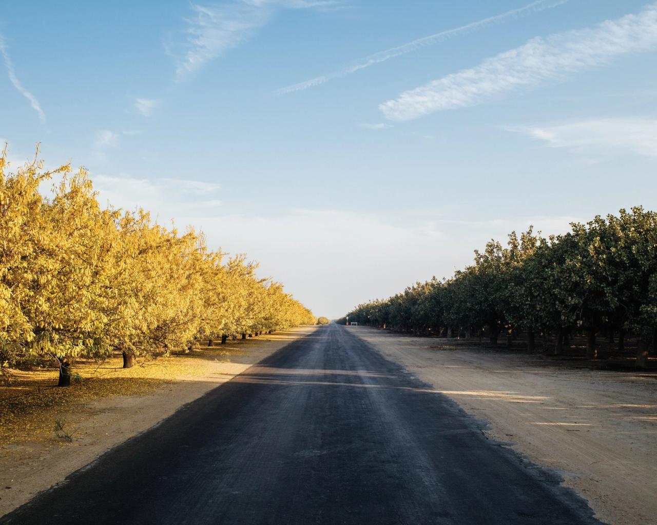 Photo from Bailey’s “A Kingdom From Dust” feature in the January 2018 issue of The California Sunday Magazine . (Courtesy Trent Davis Bailey)