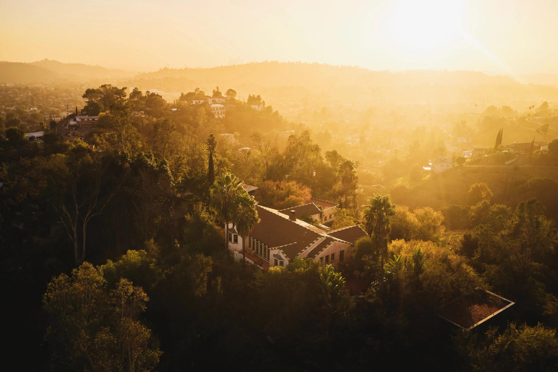 Flamingo Estate. (Photo: Christian Högstedt. Courtesy Flamingo Estate)