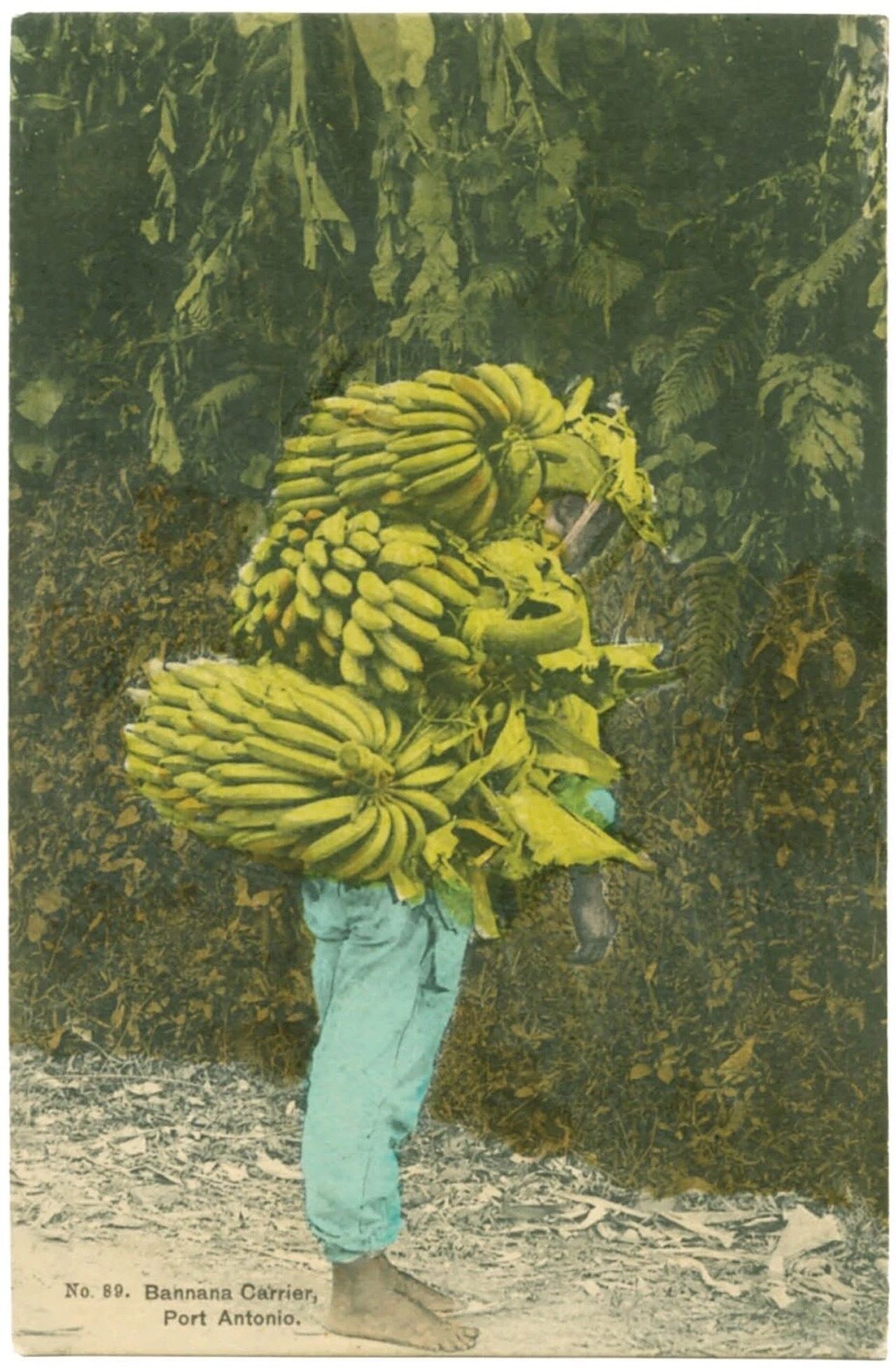 One of Harris’s postcards, mailed in 1909, depicting a banana carrier in Port Antonio, Jamaica, as featured in Vintage Postcards from the African World (2020). (Courtesy the University Press of Mississippi)