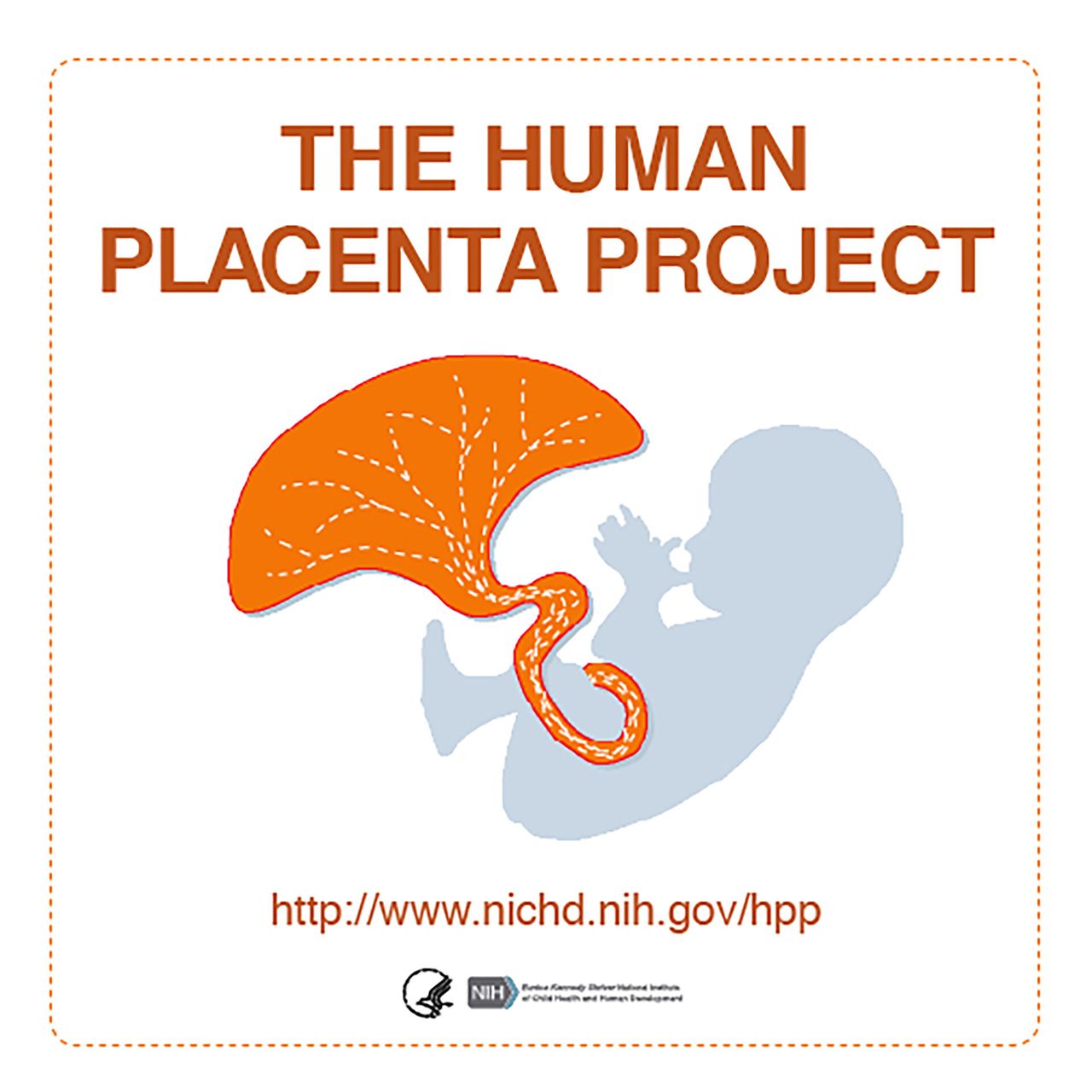 The Human Placenta Project logo. (Courtesy the Eunice Kennedy Shriver National Institute of Child Health and Human Development)