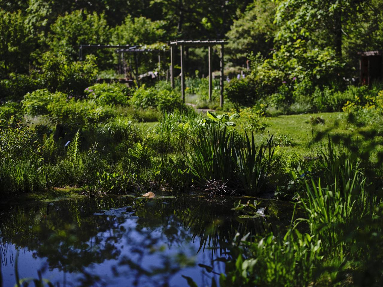 The grounds of Marshouse. (Photo: Adrian Gaut. Courtesy Edwina von Gal)