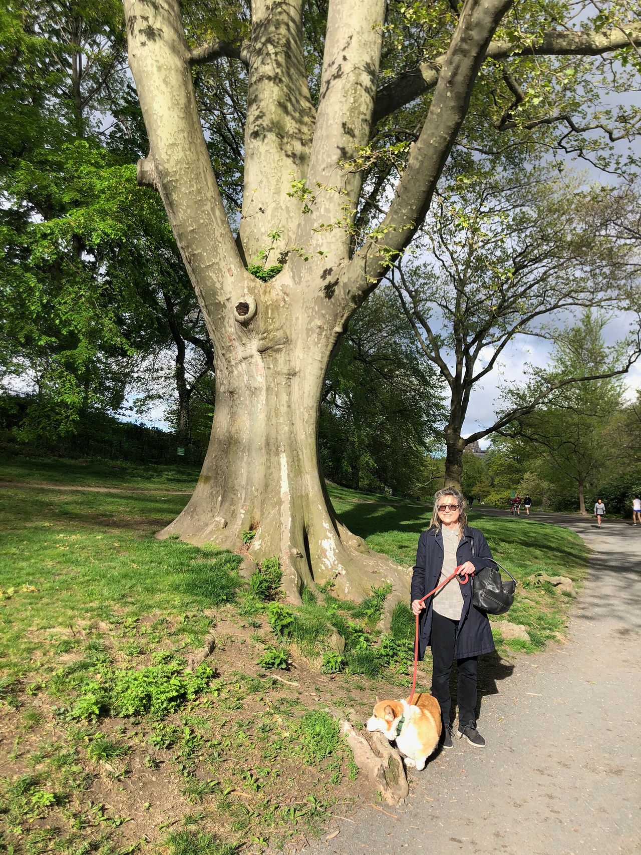 Woman walking with a dog in the park
