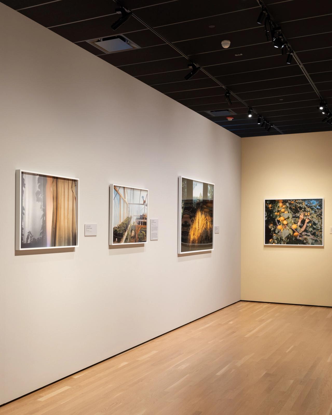 Installation image of Bailey’s solo exhibition “Personal Geographies” (2023) at the Denver Art Museum. (Courtesy Trent Davis Bailey)