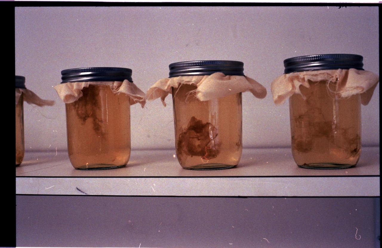 The Slowhide vegan leather being developed in the Slow Factory Labs. (Courtesy Slow Factory)