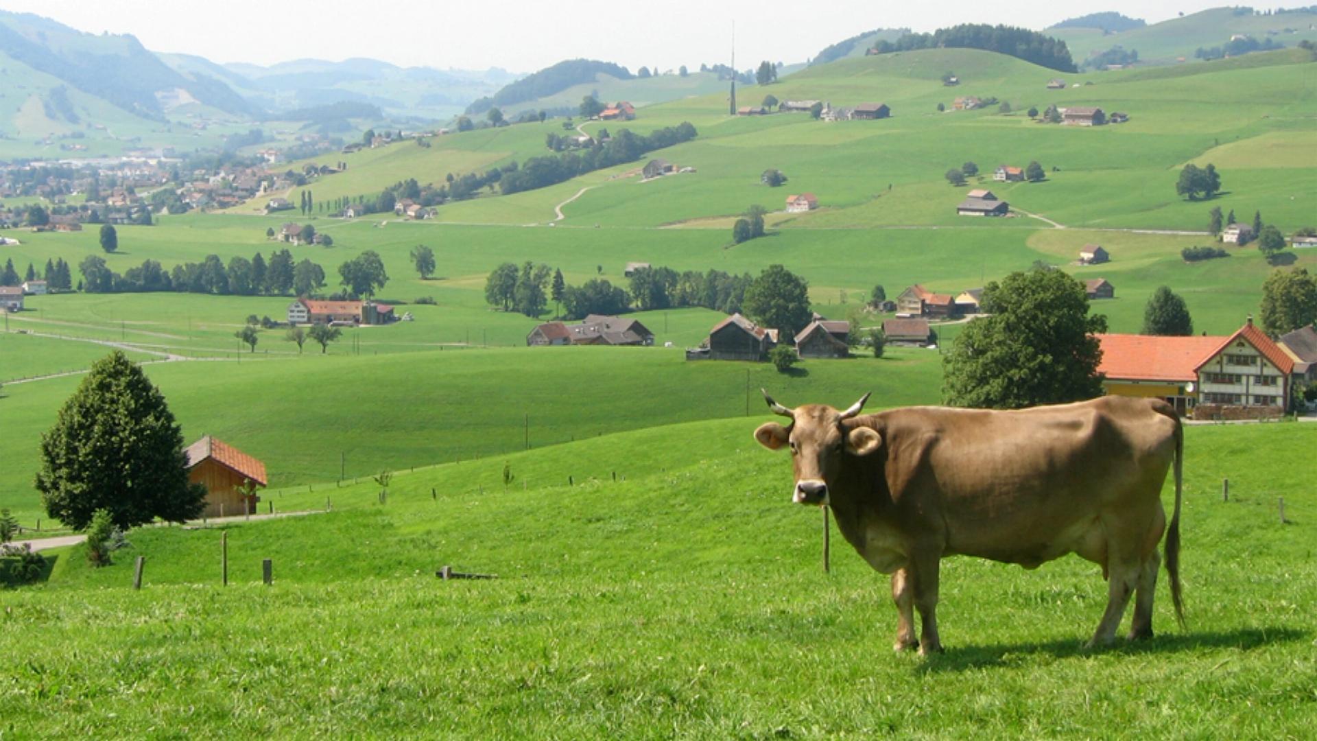 Eisenberg’s hometown in the Swiss Alps. (Courtesy Tina Roth Eisenberg)