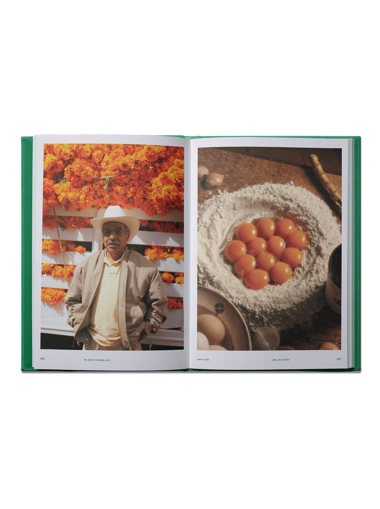 Interior spread from The Guide to Becoming Alive (2024) by Christiansen. (Courtesy Chronicle Books)