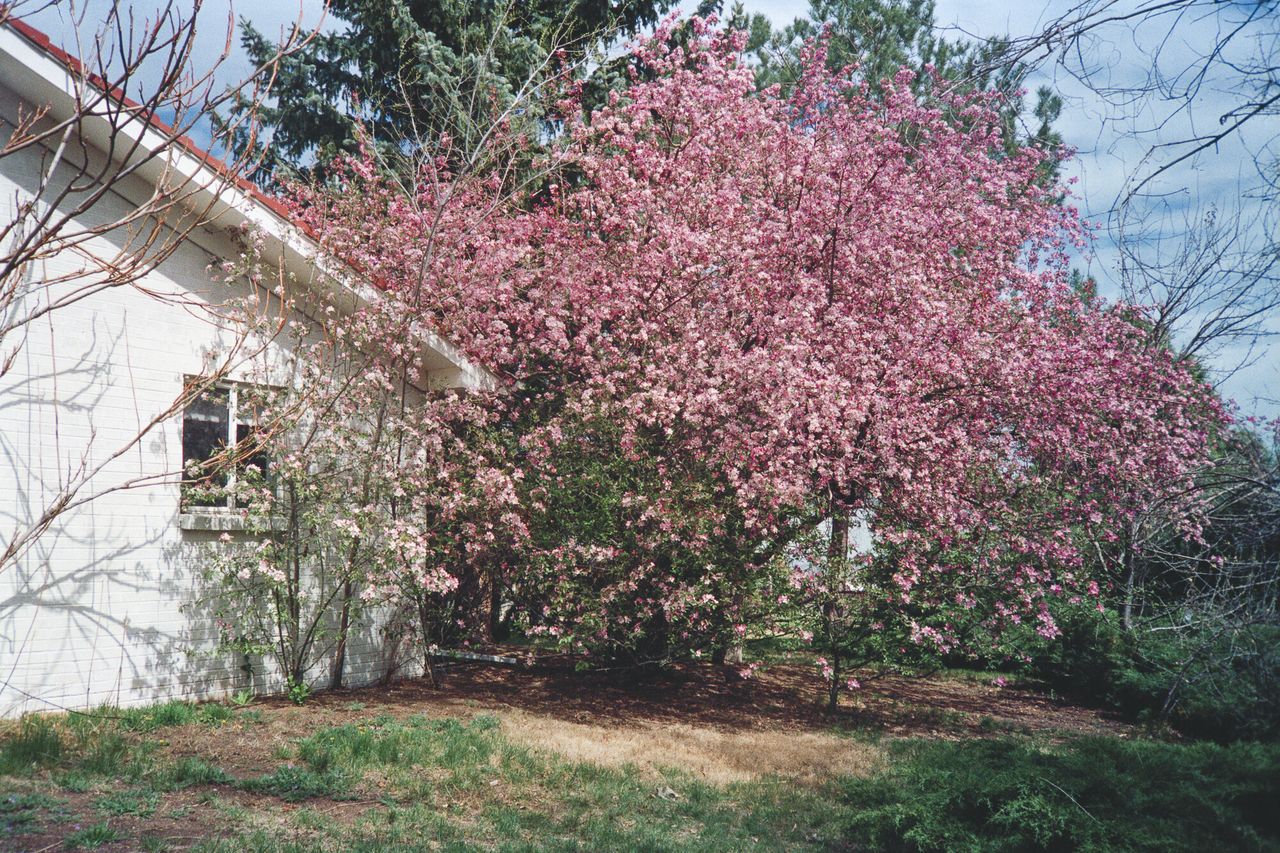Bailey’s childhood home in the town of Bow Mar, Colorado.