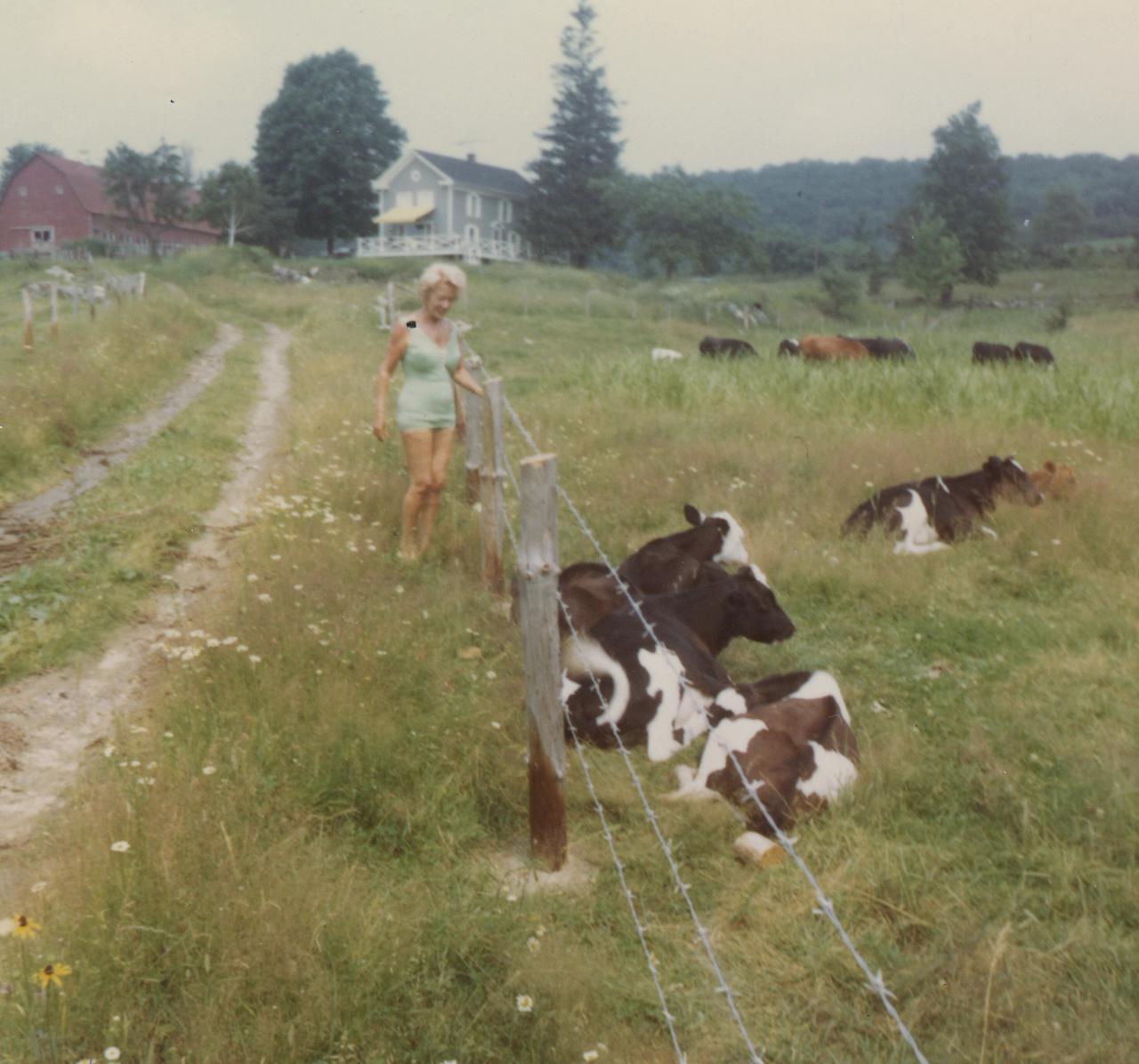 Barber’s grandmother, with the cows at Blue Hill Farm. (Courtesy Dan Barber)