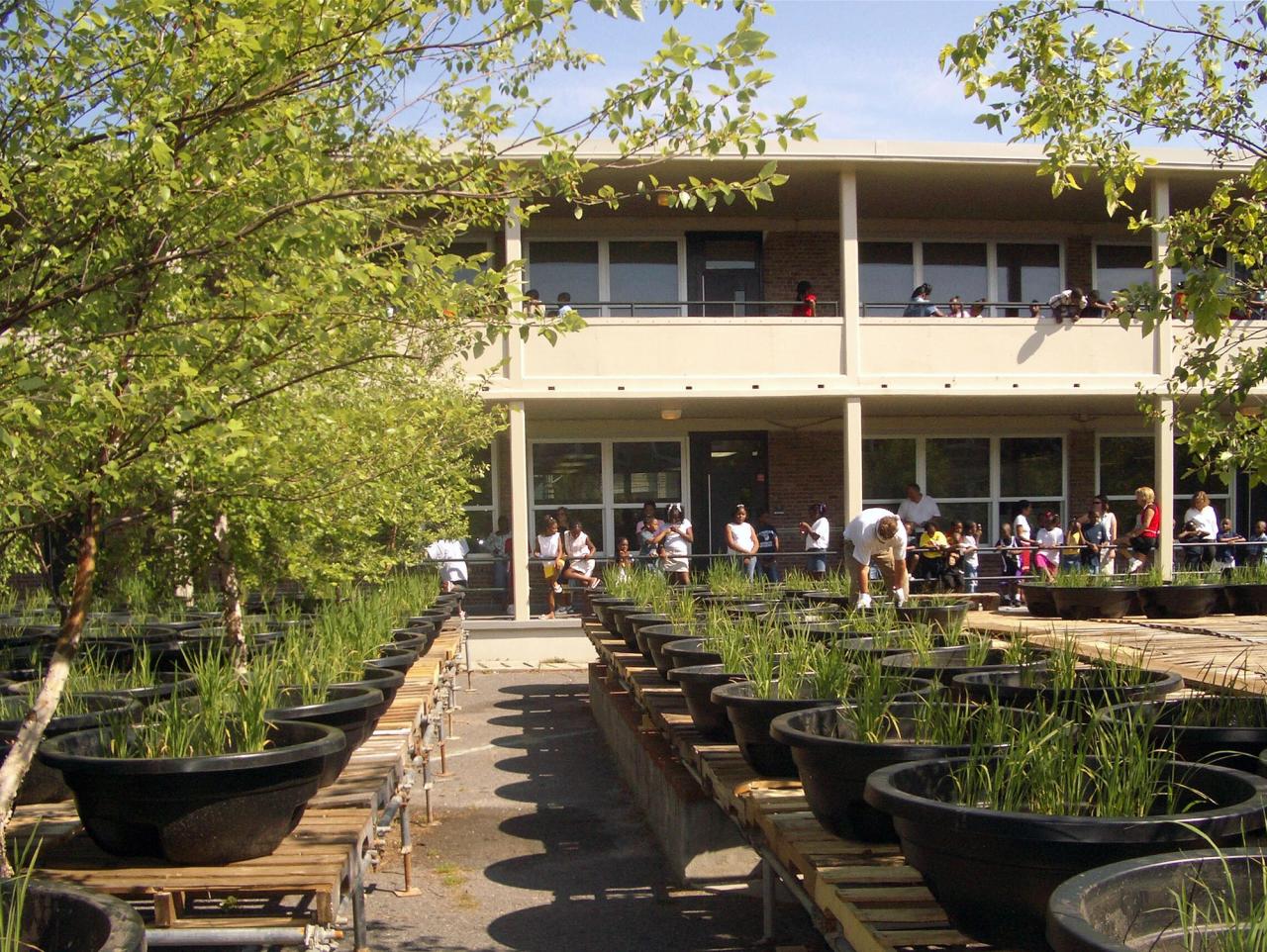 View of Hood’s “Water Table” installation at the 2004 Spoleto Arts Festival in Charleston, South Carolina. (Courtesy Walter Hood)