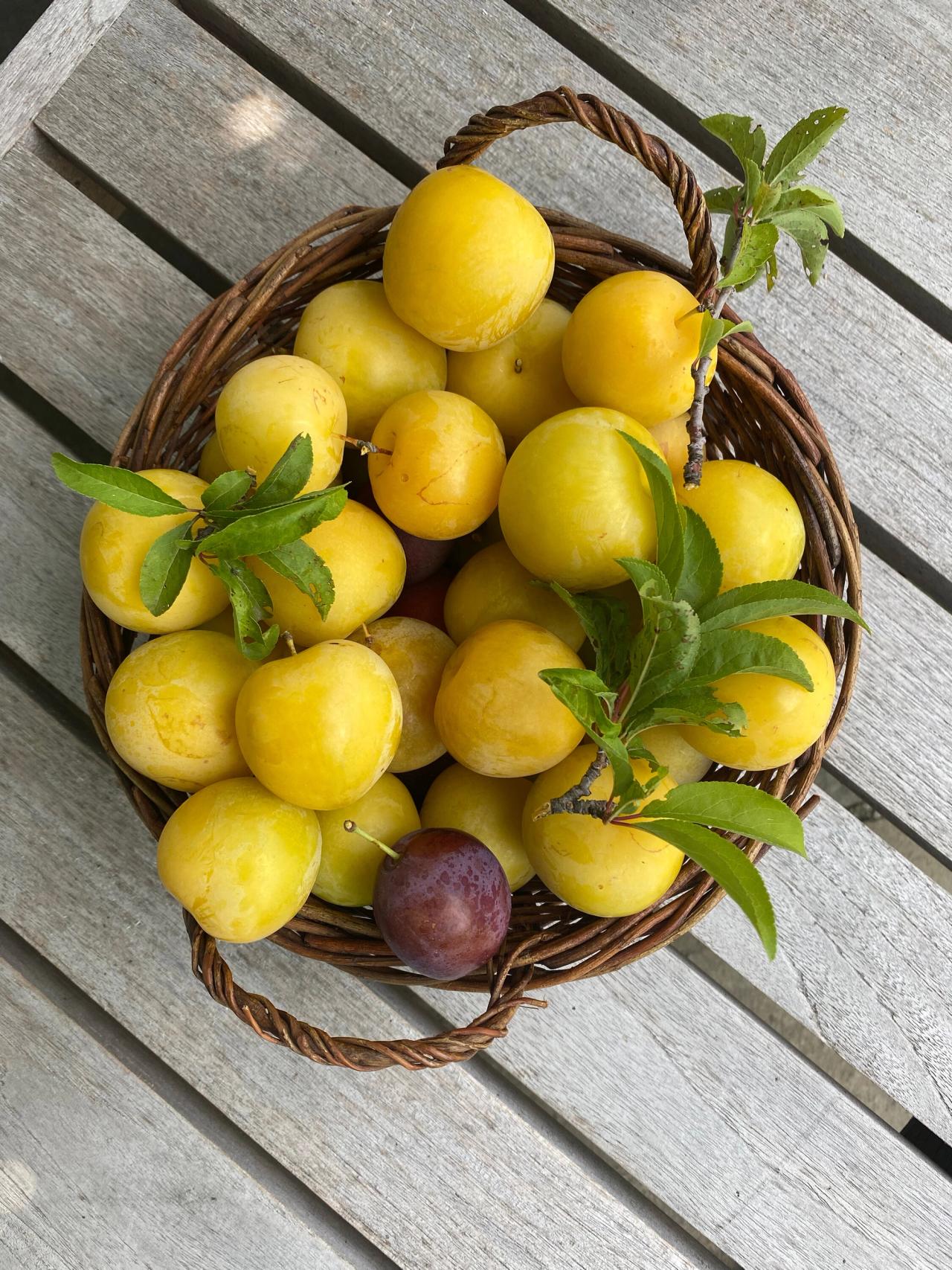 A willow basket made by Needleman. (Courtesy Deborah Needleman)