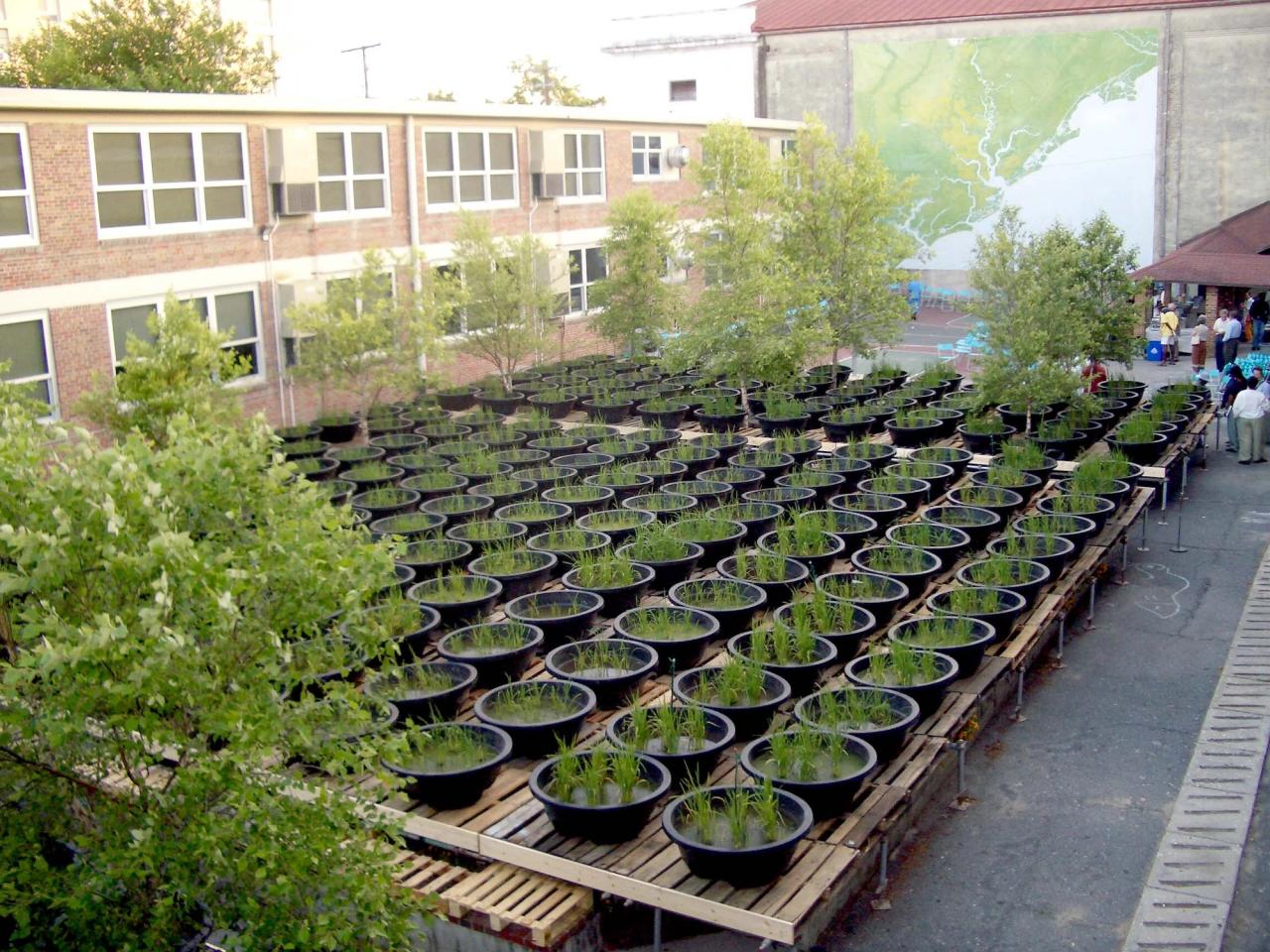 View of Hood’s “Water Table” installation at the 2004 Spoleto Arts Festival in Charleston, South Carolina. (Courtesy Walter Hood)