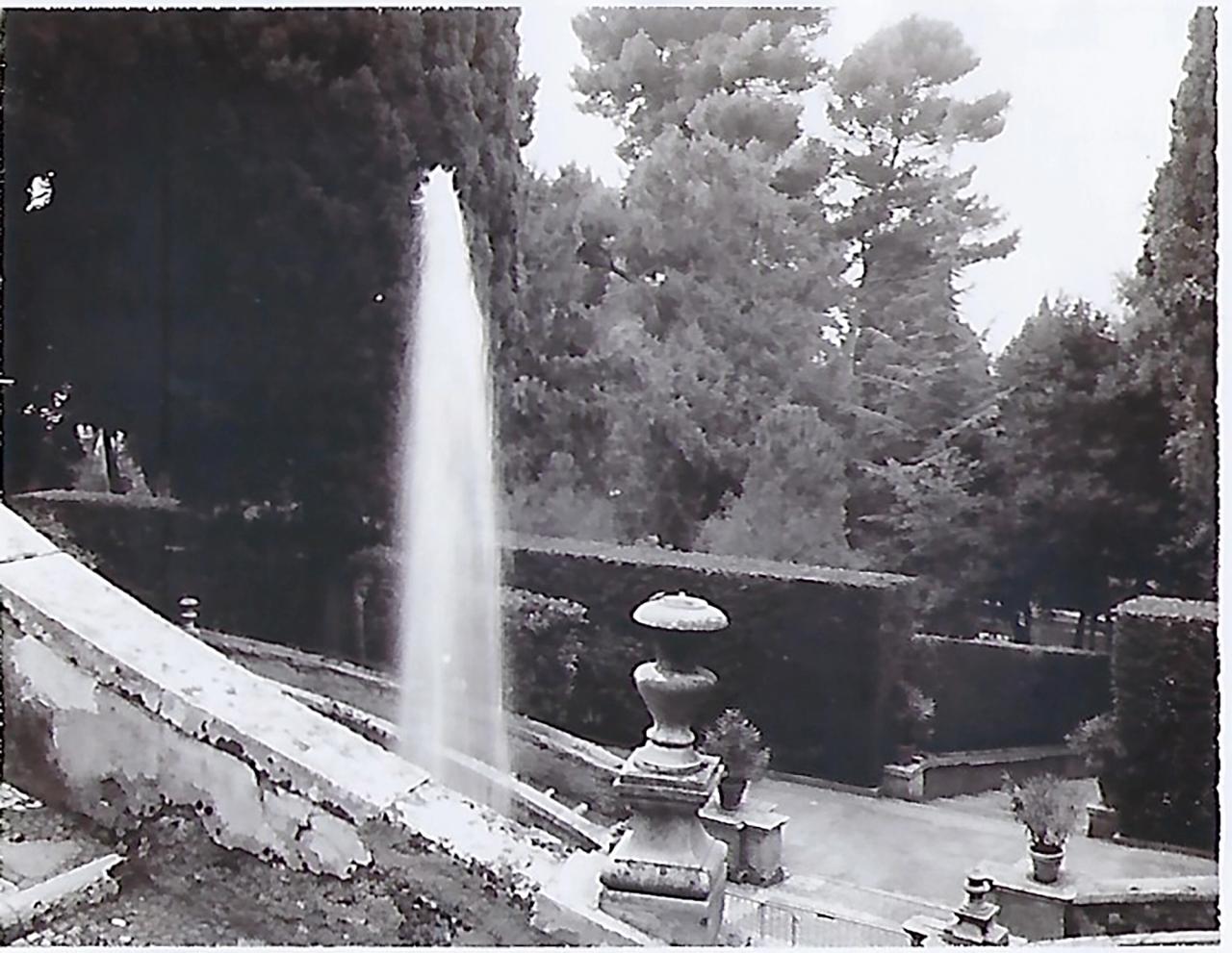 Image from Needleman’s tour of Italian Renaissance gardens in 1996. (Courtesy Deborah Needleman)