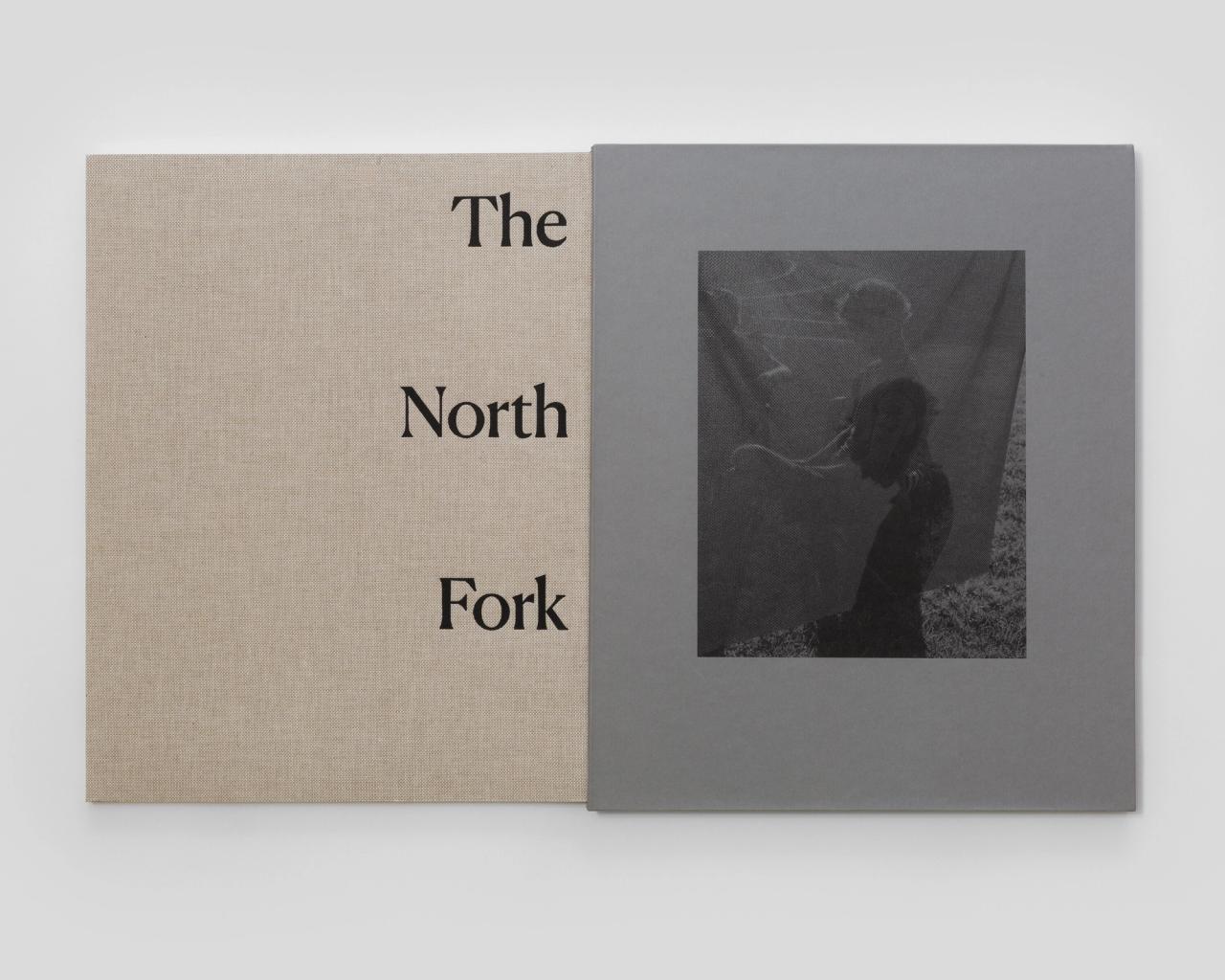 Cover of Bailey’s The North Fork (2023) book. (Courtesy Trespasser)