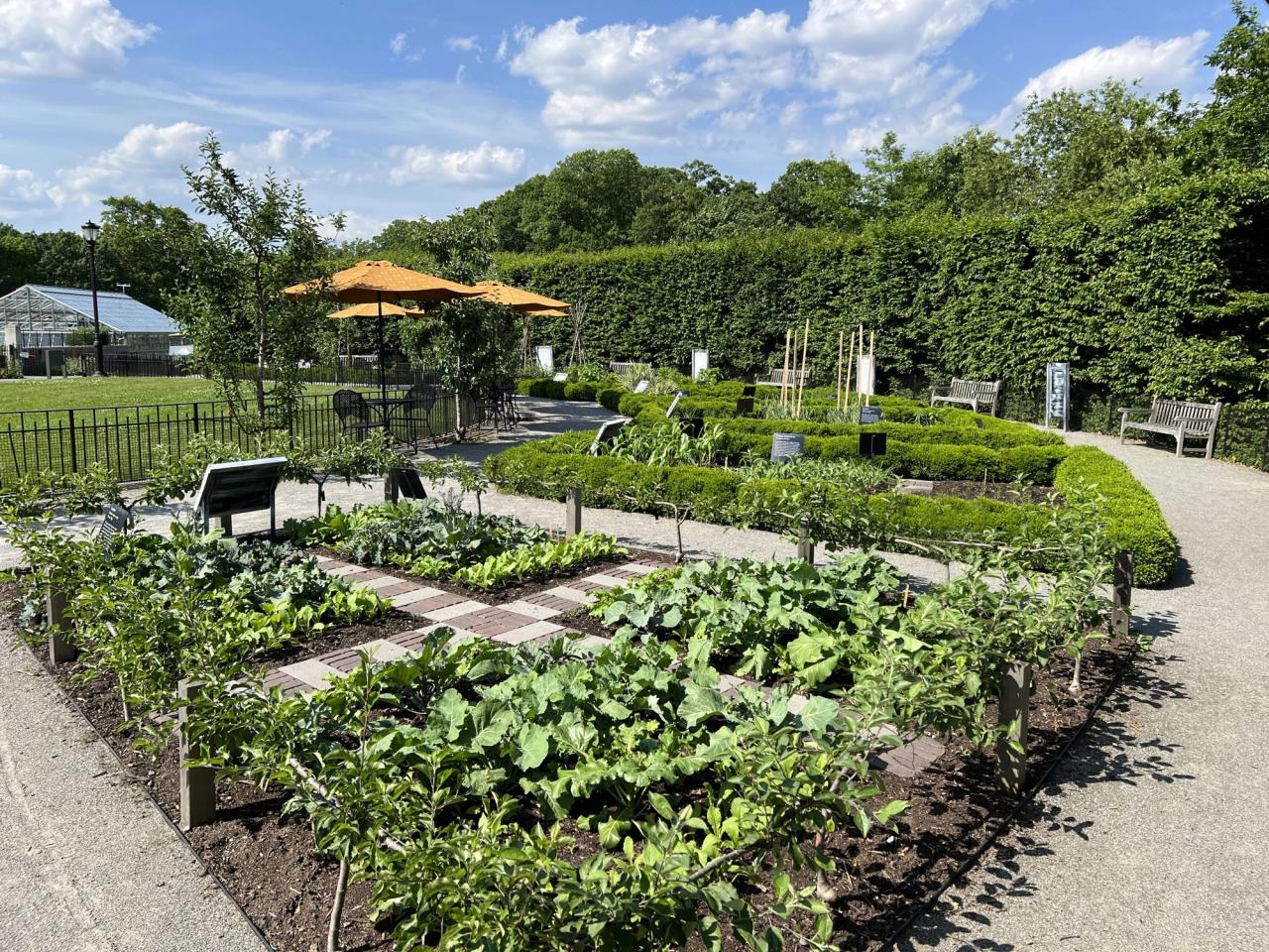 View of Harris’s African American Garden project in the summer of 2022 in collaboration with the New York Botanical Garden. (Courtesy the New York Botanical Garden)