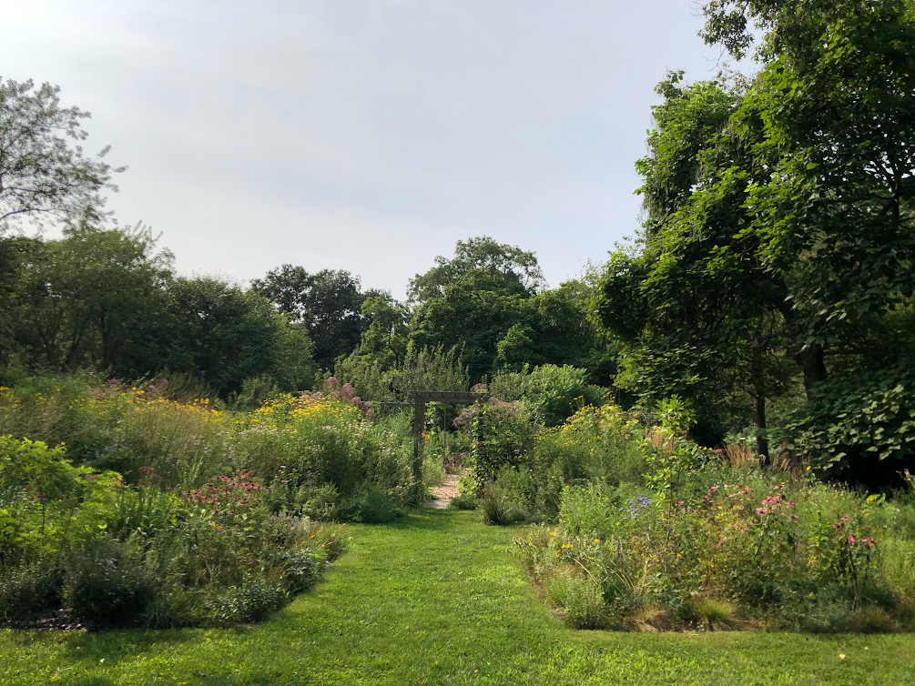 The garden at von Gal’s home. (Photo: Melissa Ozawa. Courtesy Edwina von Gal)