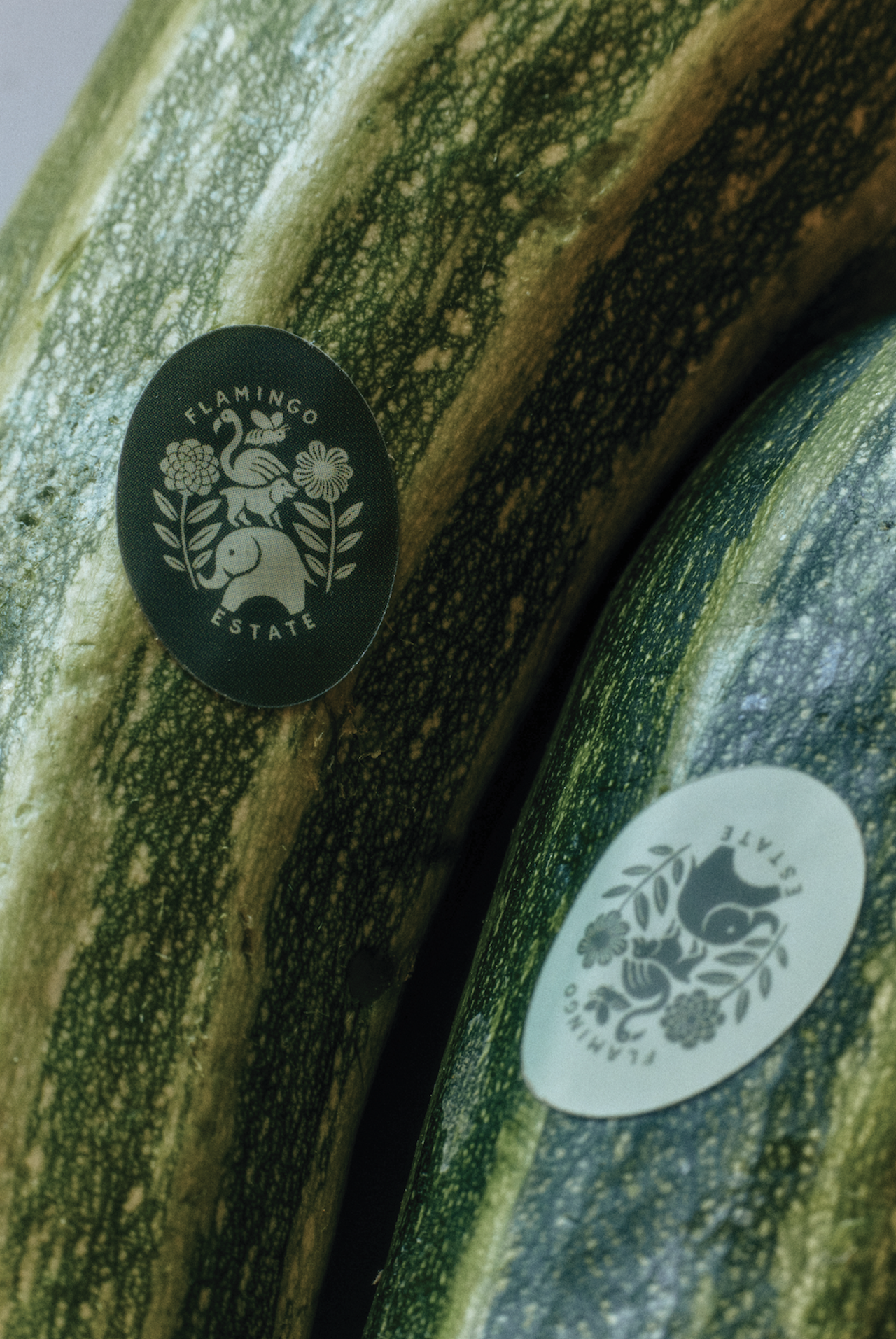 Flamingo Estate branding on summer squash in 2023. (Photo: Hugh Davison. Courtesy Flamingo Estate)