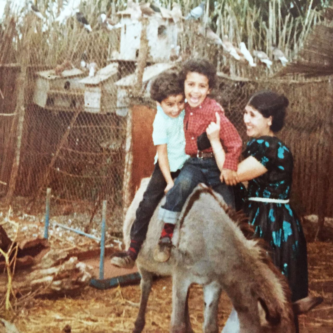 Touhami’s mother (far right). (Courtesy Ramdane Touhami)